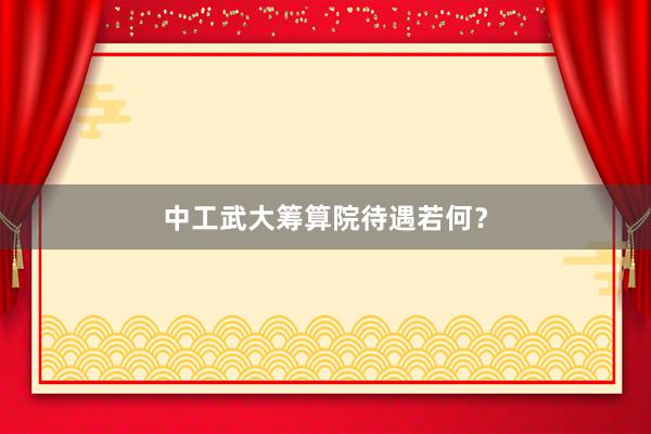 中工武大筹算院待遇若何？