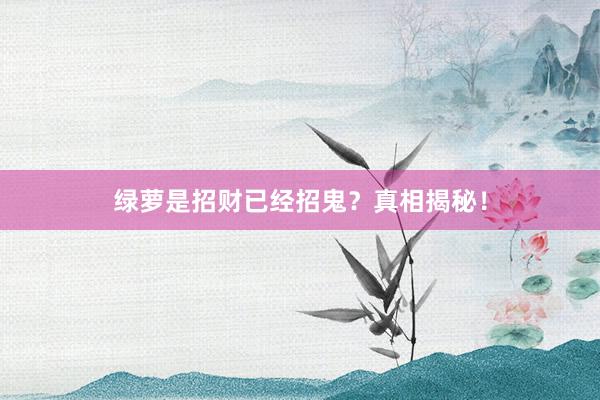 绿萝是招财已经招鬼？真相揭秘！